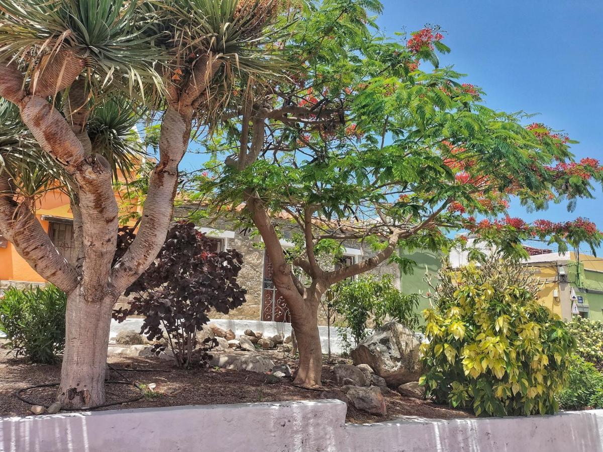 Casa En La Ladera - Real Vibe - Beach & Mountain San Nicolás Екстериор снимка
